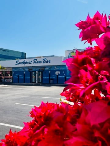 Pink bougainvillea in front of the Southport Raw Bar building