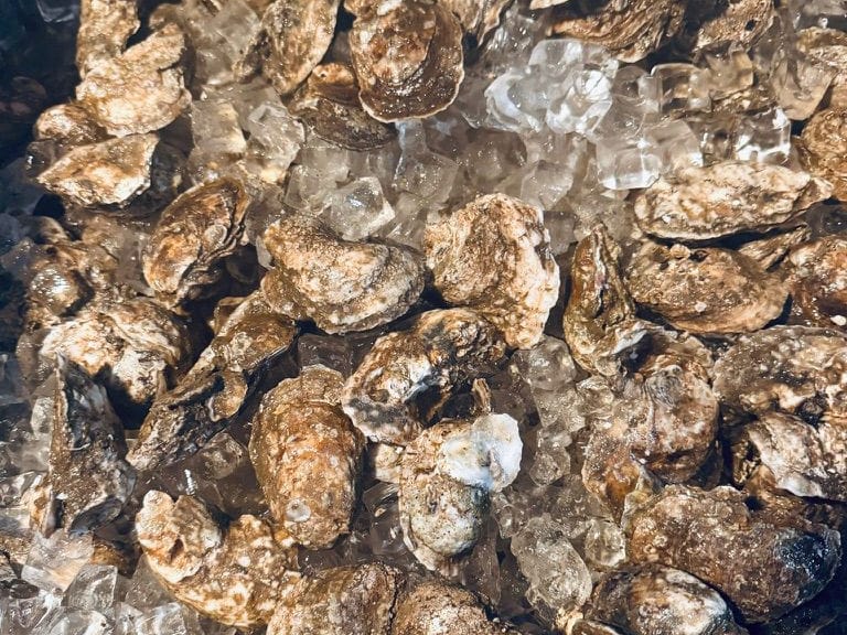 Fresh oysters in their shells on crushed ice